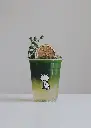 Matcha-White-Grape-Mocktail.webp