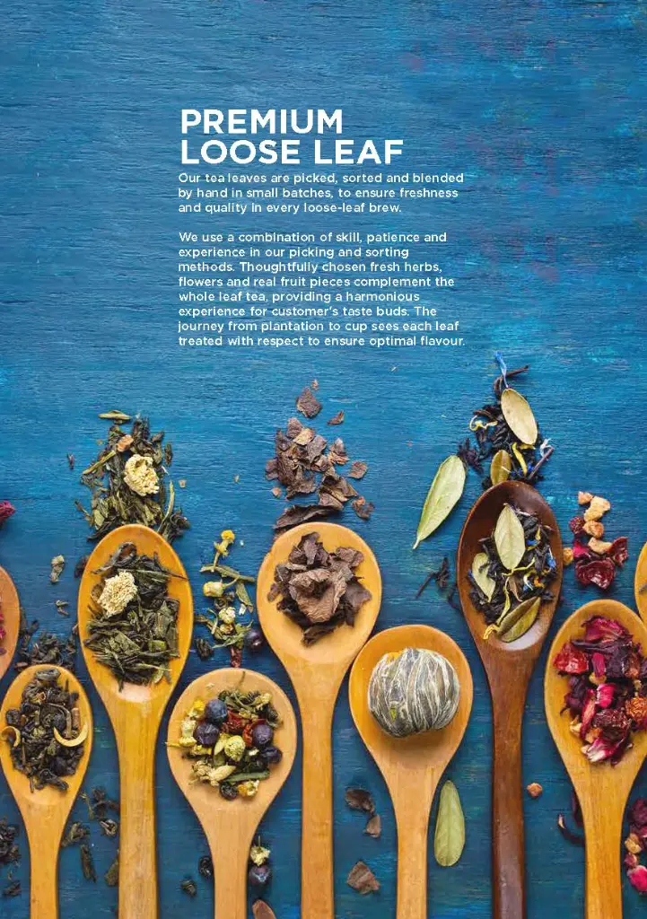 Tea Drop Brochure 2022_06.webp