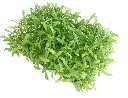 Foliage - Product List Crystanimum.webp