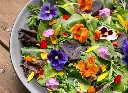 Pre Order Edible Flowers